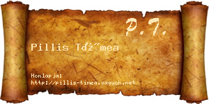 Pillis Tímea névjegykártya